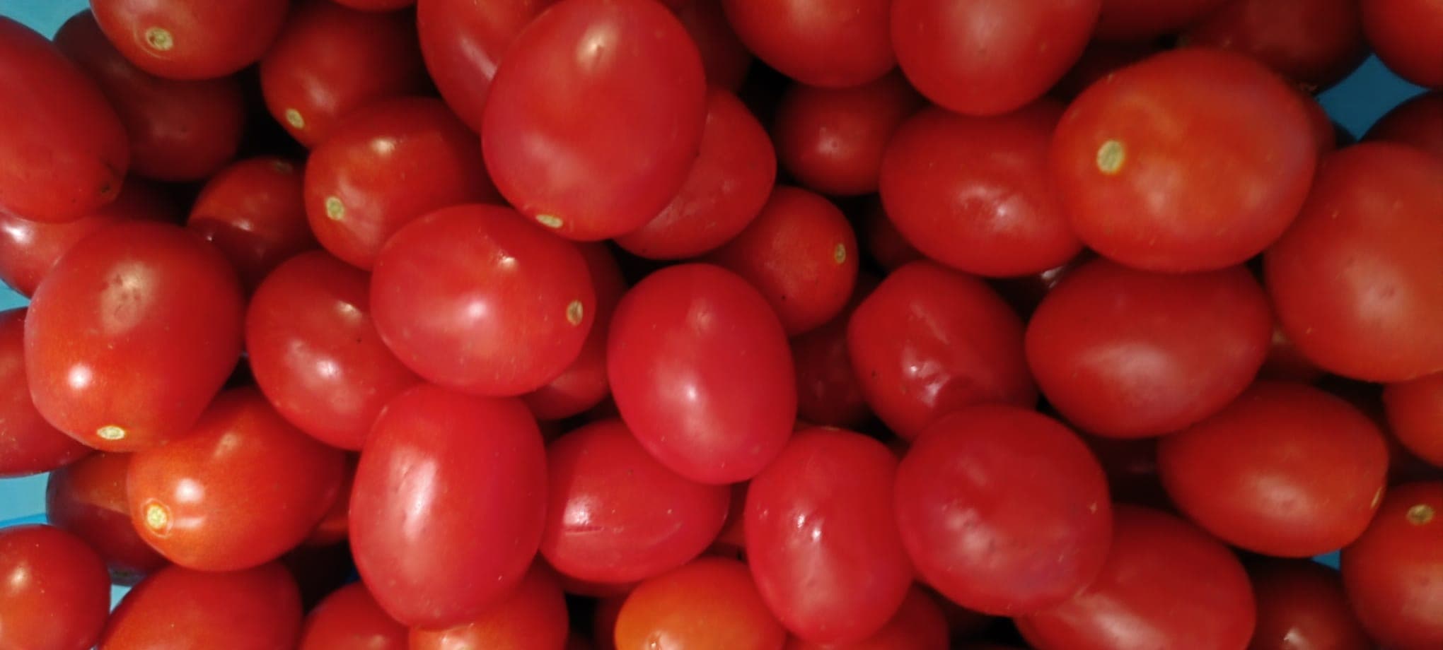 Preparazione artigianale